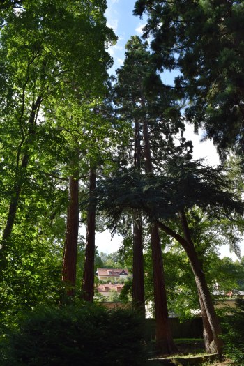 Botanická záhrada v Banskej Štiavnici